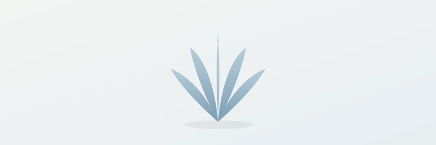 Saw Palmetto: a via natural para quem não quer sintético